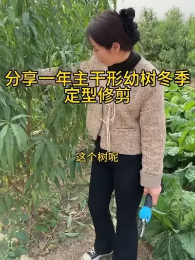 һ һ޼#ũҵݪֲ #ũƹ #԰