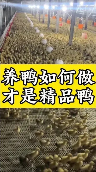 ѼǾƷѼ#Ѽ #ѧѼ#Ѽ #Ѽ #ѼС