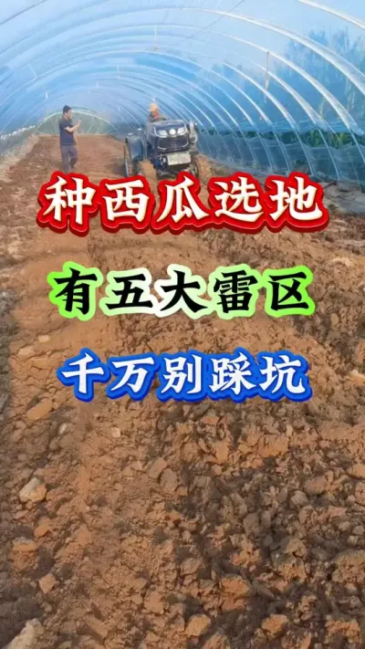 ݪֲ ѡȿ #ݪֲ #Ϲ #ϸ߲