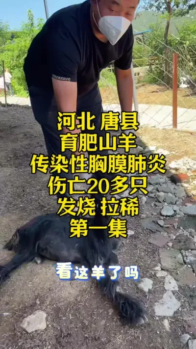 һҪԤ÷ʧ#÷β #ѬȾĤ