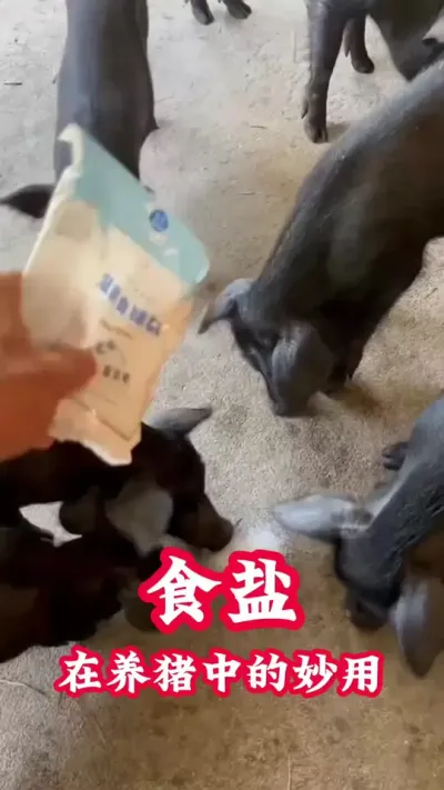 ʳе #  #ũ # @DOU+С