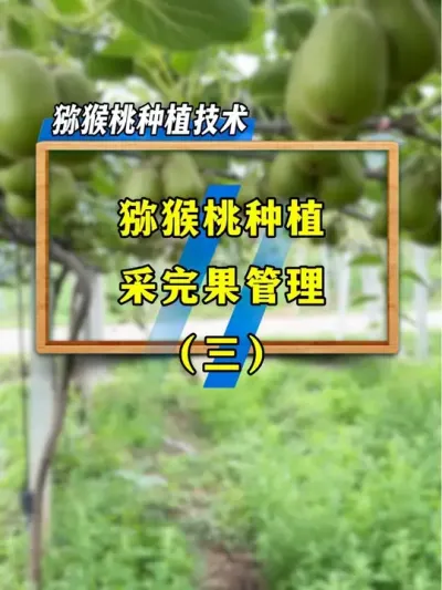 ⨺ҲΪƷºõĻ #ũ #ݪֲ #⨺ݪֲ #ũҵƹ