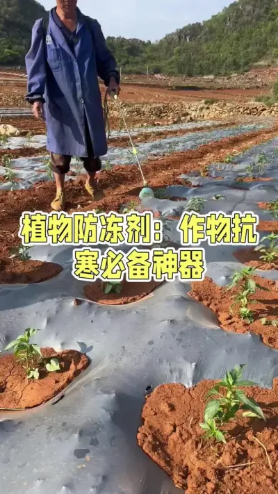 ԽԽز#ũݪֲ # #ũ