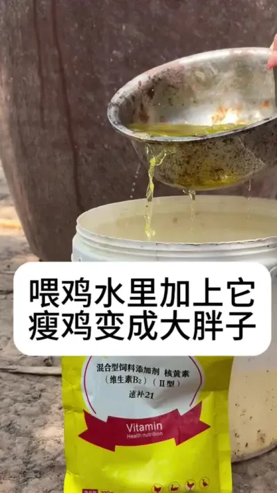 #养鸡#散养土鸡#养鸡妙招#科学养鸡