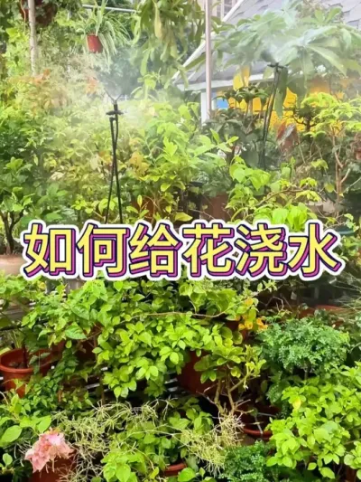 ˮ# #С֪ʶ #ֲ #ˮ #ˮ