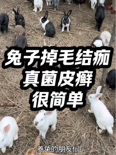 ƤѢ֢״ #ѧ #ƤѢ #ֿ߷ֿ # #