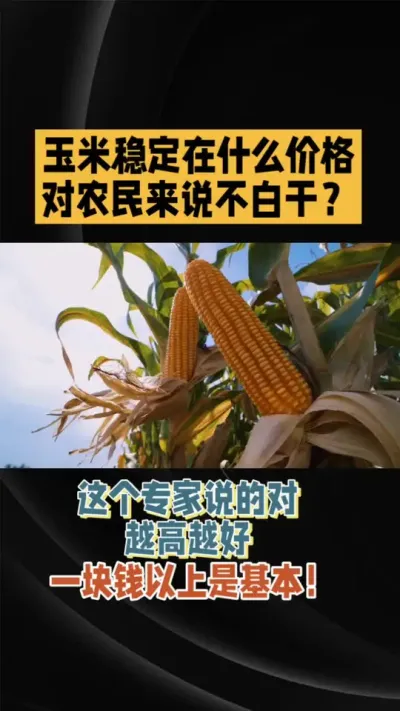 ũҵũ岿רָ鳤ظ׼ǮũŻ