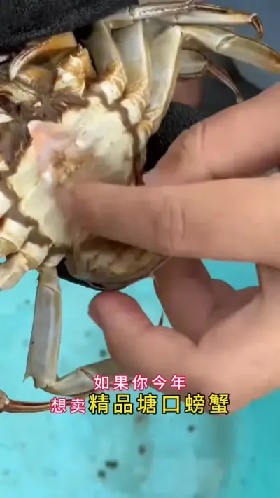 зƷзһҪ#зֳ #Ϻзֳ #зֳ #բзֳ #ũ @DOU+ @DOU+С