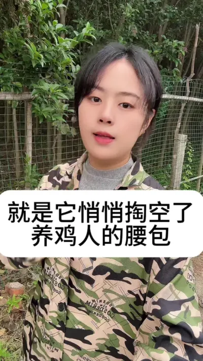 #养鸡#散养土鸡#新手养鸡#养鸡妙招#科学养鸡