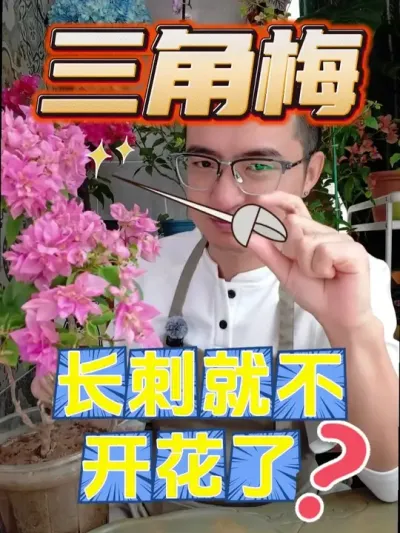 ÷̾ͲŻ #  #÷  #С֪ʶ