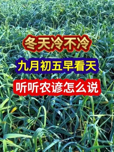 䲻³翴ũô˵ #ũҵ #ũ #ũϻ #ũ #ũҵݪֲ