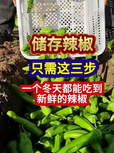 ֻһ춼ܳԵʵ #Ҫ # #ũҵݪֲ #ݪֲС #ũҵ֪ʶũ