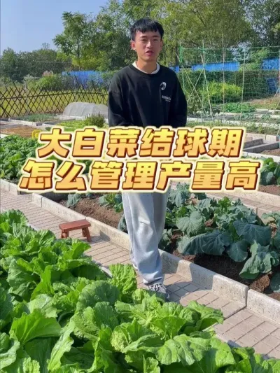 ȷ˽ #ݪֲС #עһѧֲ #ԼֵĴȻɫ߲ #ͥݪֲ #ֲ