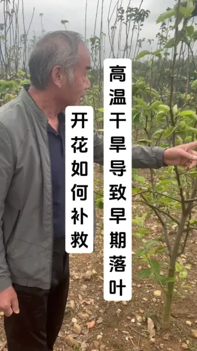 ¸ɺҶŻ # #ݪֲ #ݪֲ #ѧũ #ͷʵٸɻ