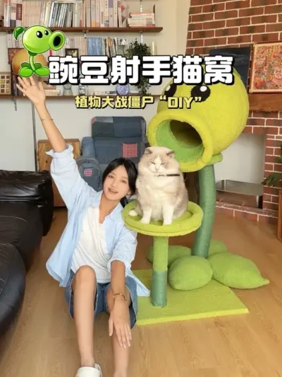 Ұ㶹èѣ #ֹDIY #ϣ˫ճȩ  #ͥȩԺ˫ʱ #е㹤ʢ⶯