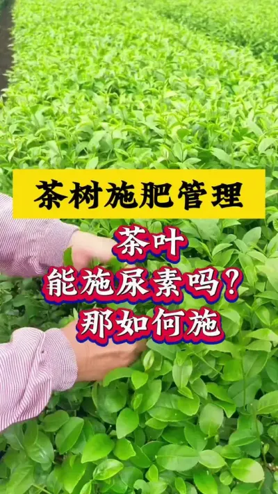 ʹ#ݪֲ #԰ʩ #԰ #ݪֲ