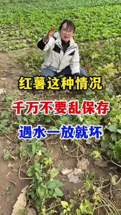 Ҫһžͻ#ݪֲ#Ҫ # ##ũҵ֪ʶũ