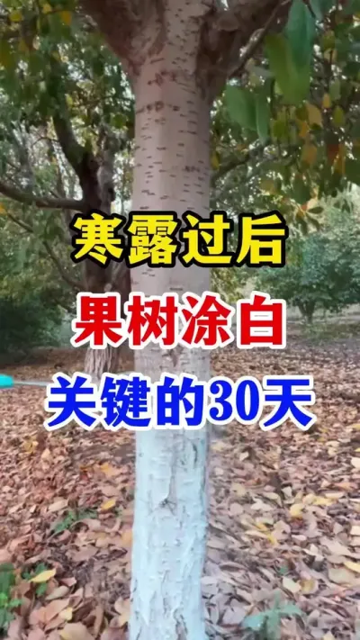 ¶ЧͿҪ30#ݪֲ#Ϳ#Ϳ׼ #԰#ũҵݪֲ