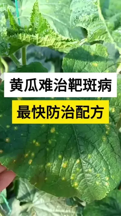 ƹΰа߲䷽ #Ƶа߲ #ƹϰа߲ #ƹݪֲ #ũ #ũ