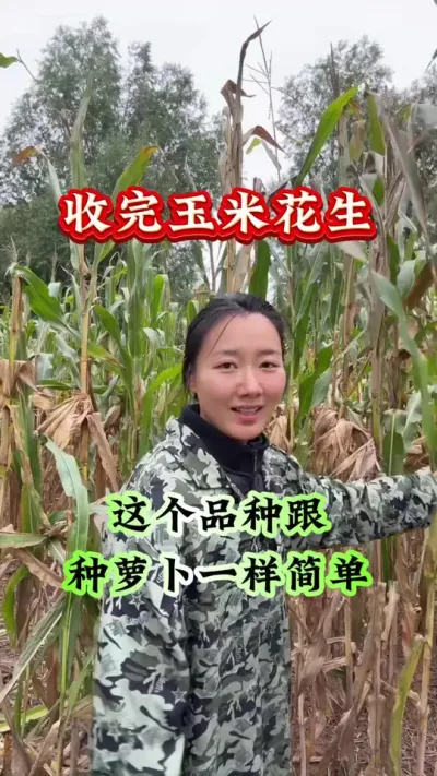 ҩݪֲ ׻Ʒָܲһ #ݪֲ #ҩݪֲ #ҩĹ #ҩĸ߲