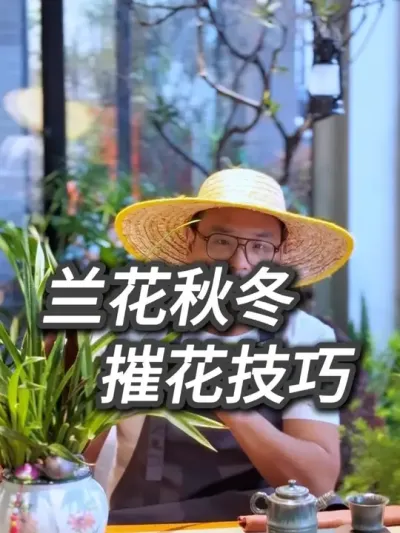 ݻ ﶬ֦ͷ# # # # #