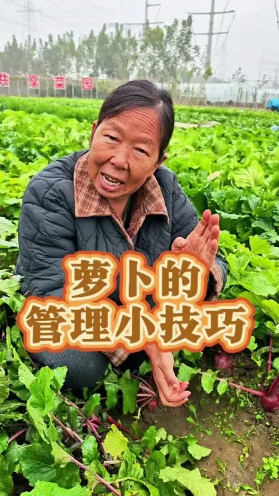 ܲҪ ܲôĿ#ܲ #߲˹ # #߲ݪֲ