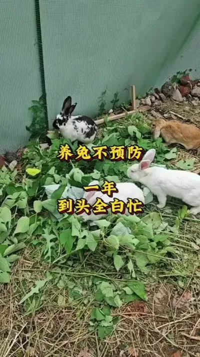 òԤһ굽ͷȫæ###շ#ֳ