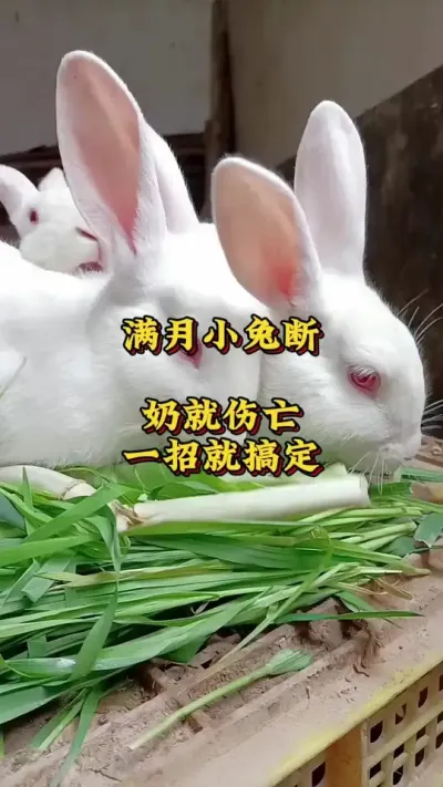 Сö̾һž͸㶨 #ɢ  # # #ֳ