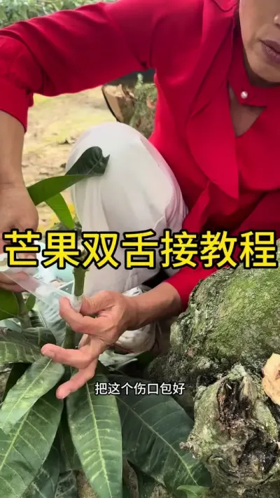 â˫ӽ̳#޽ #dou㶫 #ũ2025 #ѧũ