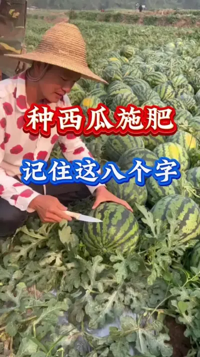 ݪֲ ʩʼ˸ #ݪֲ #Ϲ #ϸ߲