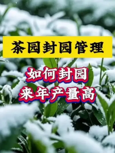 ԰԰ʱ#԰԰ ##԰ #ѿ #ũũ