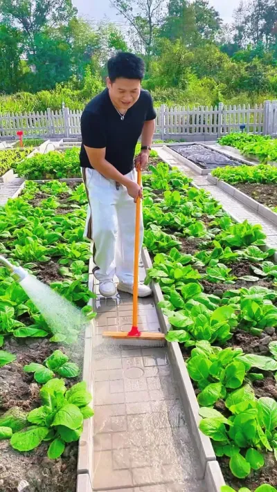 95ֲѪѾѾ#¼ݪֲ #ҵ #ֲ#԰