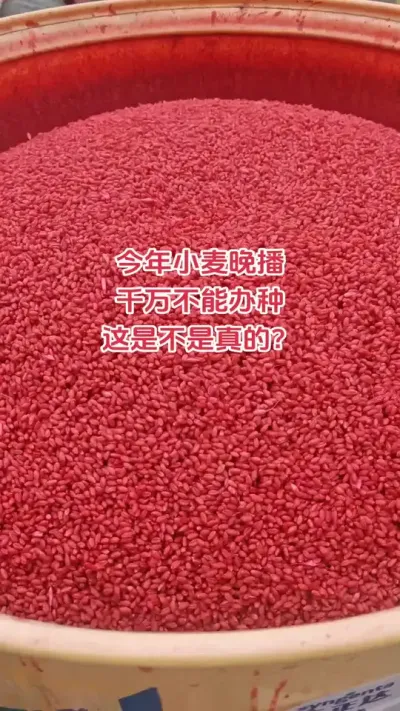 #ũֵؽֹ #ũҵ#ݪֲ#ũ#DOU