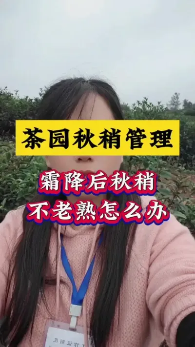 Բм徲#԰ #Բô#԰ﶬʩ #ݪֲ #ѿ