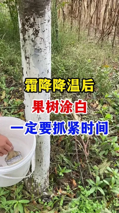 ˪ºץʱͿ#ݪֲ#Ϳ#Ϳ׼#԰#ũҵ֪ʶũ