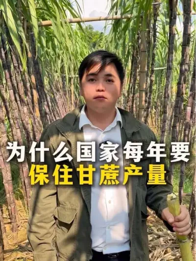 ΪʲôÿҪס##ݪֲ#ݪֲС #ũҵ֪ʶũ #ղӲԭ