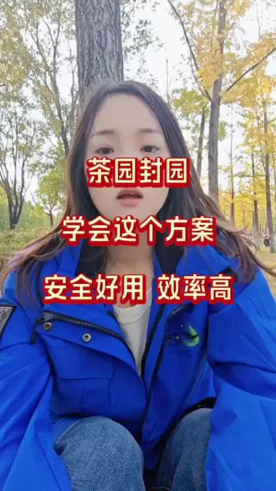 #茶叶封园方案#茶树种植技术与管理 #秋冬季茶园防冻技术#冬季茶园管理