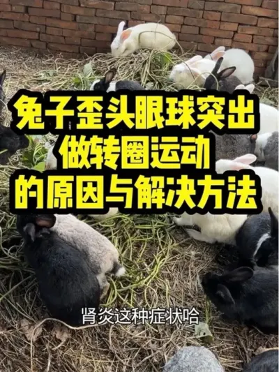 ͷ֢״Ҫ # #ͷ #Ԥ #ֿ߷ֿ #