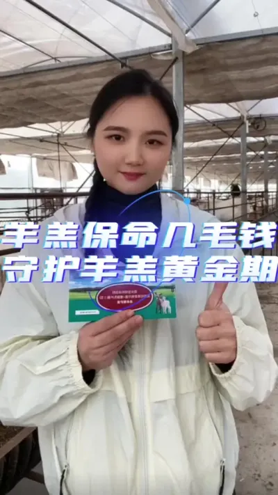 Һػ῵# # # #ҵ