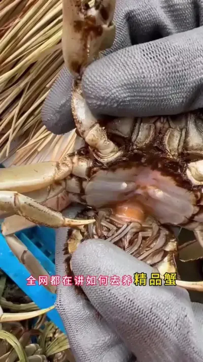 ȫڽûһС˽ҰҪ#зֳ #Ϻзֳ #բзֳ #зֳ #ũ @DOU+ @DOU+С