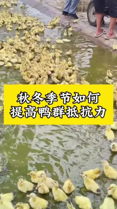 ﶬѼȺԿ#ѧѼ#ѼС #Ѽ #Ѽרҵ