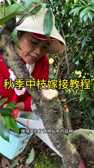 ＾֦޽ӽ̳#޽ #dou㶫 #ũ2025 #ѧũ