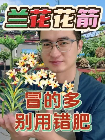 “”ðĶôˣ #  #  #