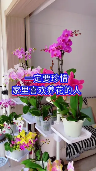 ϧÿһϲ#֪ͥʶ #˵Ȥ #