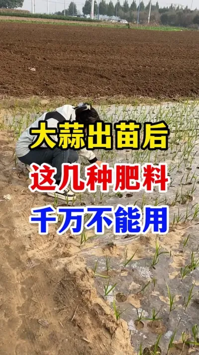 ⼸ַϲ#ݪֲ##һҩ #߲#ũҵ֪ʶũ