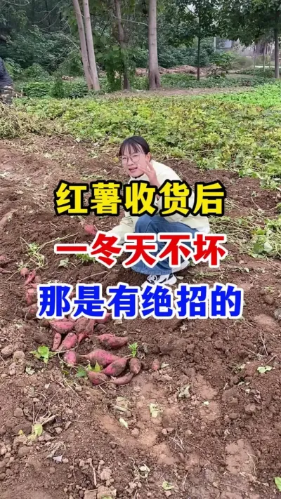 #ݪֲ##Ҫ #߲#ũҵ֪ʶũ