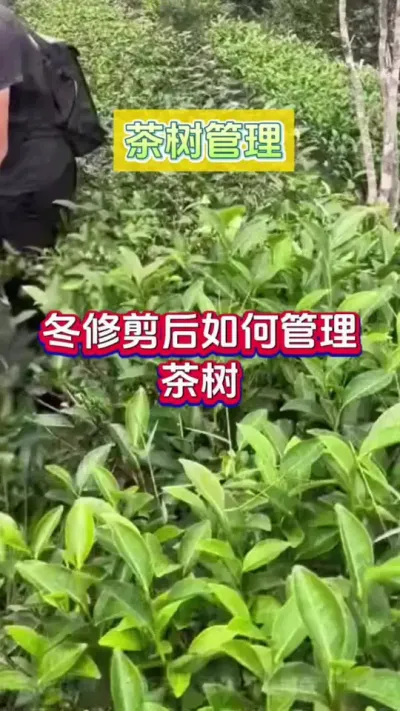 #ݪֲ ޼#޼ #԰޼ #޼ #ѿ