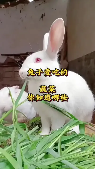 ӰԵ߲Щ֪###շ#ֳ