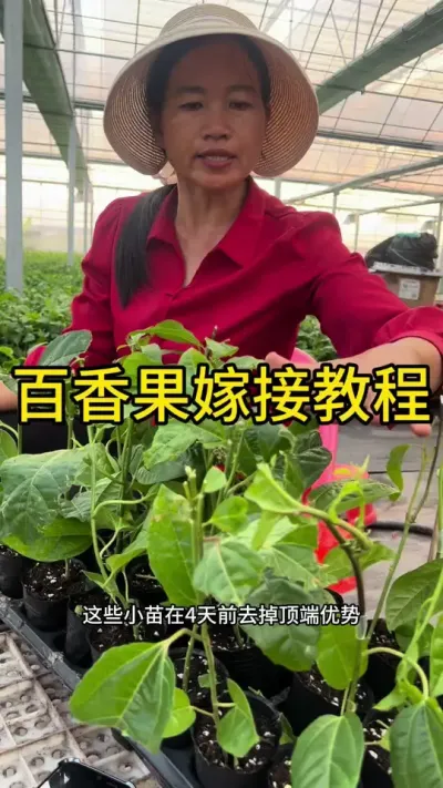 ޽ӽ̳#޽ #dou㶫 #ũ2025 #ѧũ