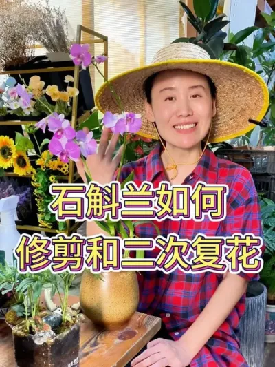 ʯ޼Ͷθ#ʯ # #ֲ # #С֪ʶ